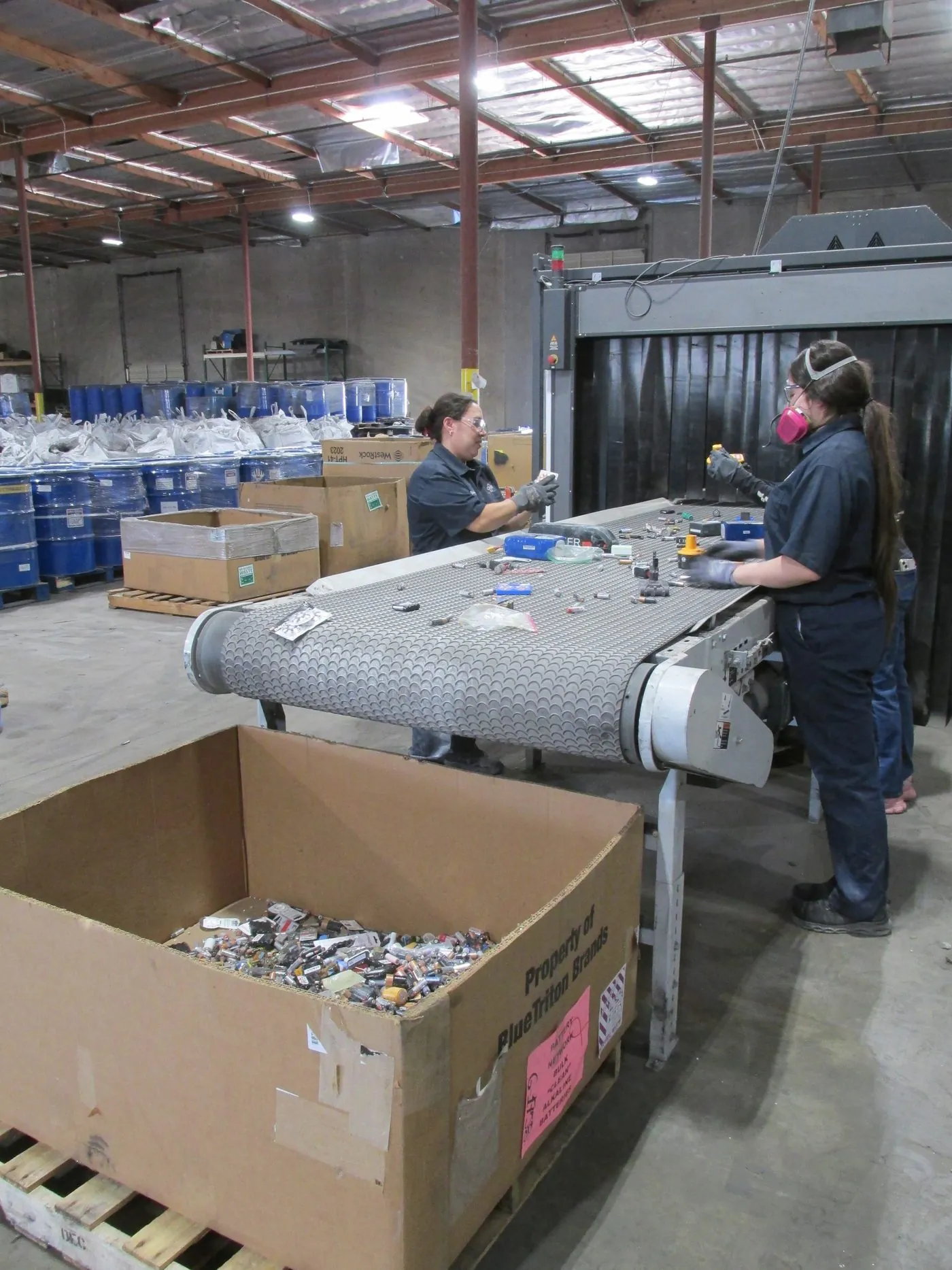 Spent alkaline batteries travelling along the sorting line at the Phoenix facility